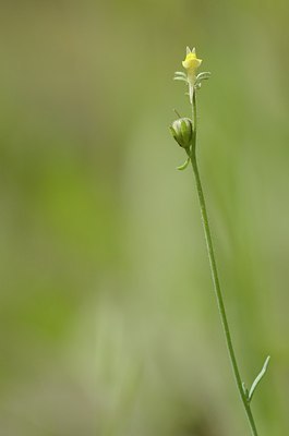 BUITEN BEELD Foto: 167666