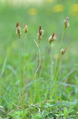 BUITEN BEELD Foto: 167669