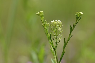 BUITEN BEELD Foto: 167680