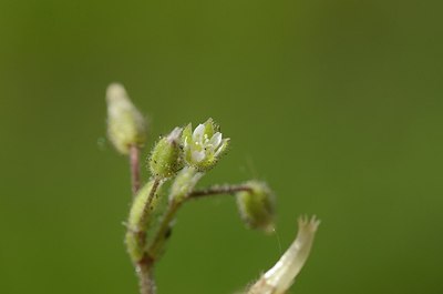 BUITEN BEELD Foto: 167682