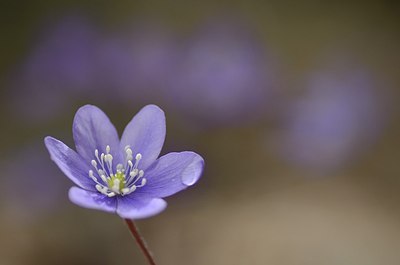 BUITEN BEELD Foto: 167683