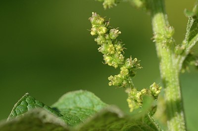 BUITEN BEELD Foto: 167695