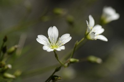 BUITEN BEELD Foto: 167710