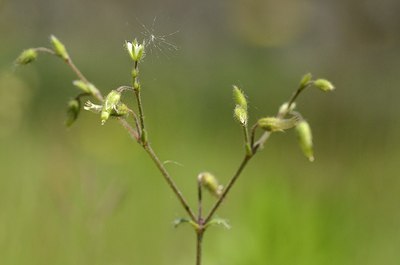 BUITEN BEELD Foto: 167724