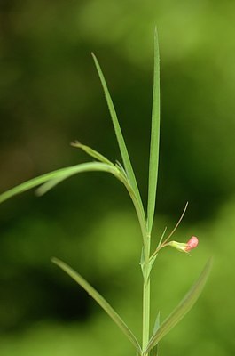 BUITEN BEELD Foto: 167738