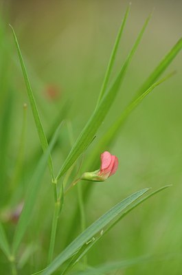 BUITEN BEELD Foto: 167742