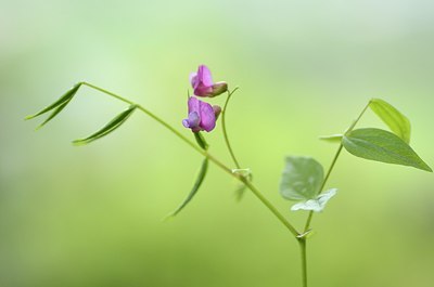 BUITEN BEELD Foto: 167751