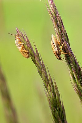 BUITEN BEELD Foto: 167786