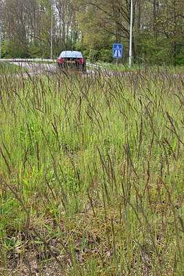 BUITEN BEELD Foto: 167787
