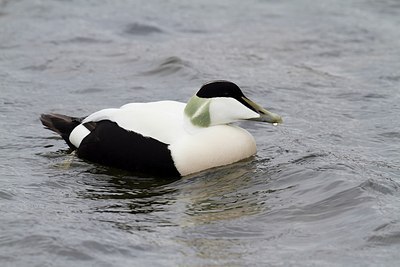 BUITEN BEELD Foto: 167812