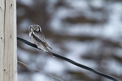 BUITEN BEELD Foto: 167845