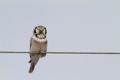 BUITEN BEELD Foto: 167849