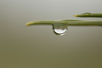BUITEN BEELD Foto: 167931