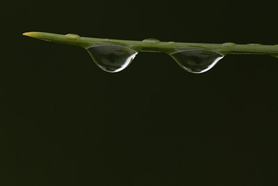 BUITEN BEELD Foto: 167935