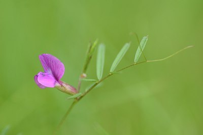 BUITEN BEELD Foto: 167940