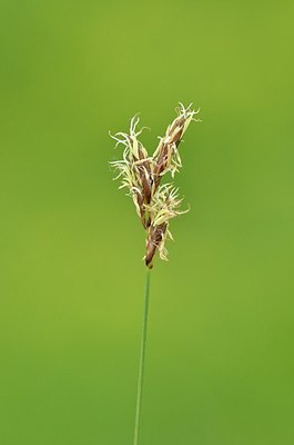 BUITEN BEELD Foto: 167948