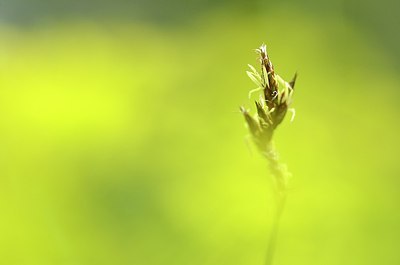 BUITEN BEELD Foto: 167949