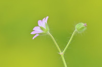 BUITEN BEELD Foto: 167956