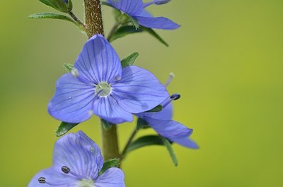 BUITEN BEELD Foto: 167962