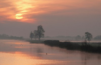 BUITEN BEELD Foto: 167976