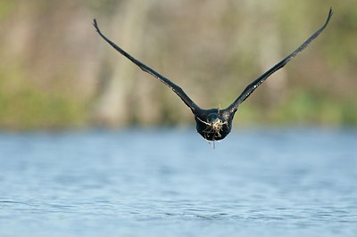 BUITEN BEELD Foto: 167986