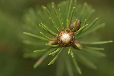 BUITEN BEELD Foto: 167987