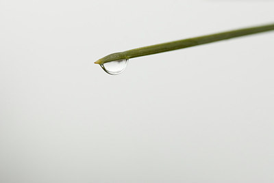 BUITEN BEELD Foto: 167989