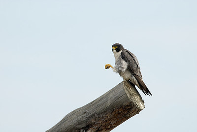 BUITEN BEELD Foto: 167993