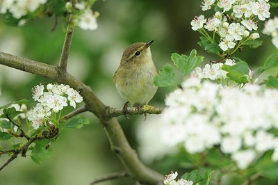 BUITEN BEELD Foto: 168015