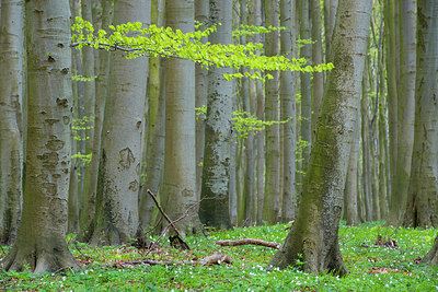 BUITEN BEELD Foto: 168083