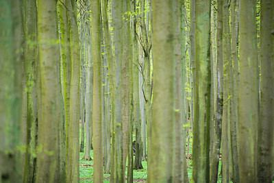 BUITEN BEELD Foto: 168092