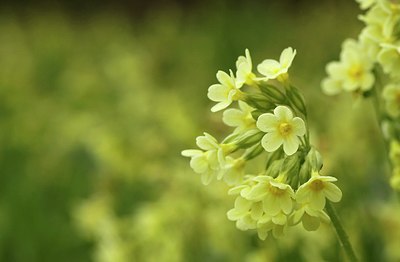 BUITEN BEELD Foto: 168134