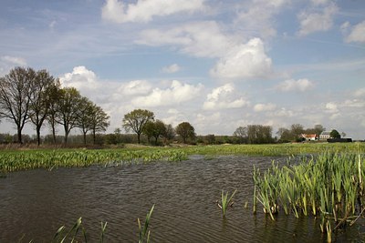 BUITEN BEELD Foto: 168139