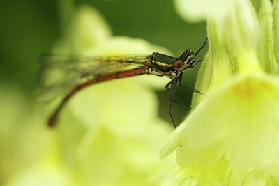 BUITEN BEELD Foto: 168162