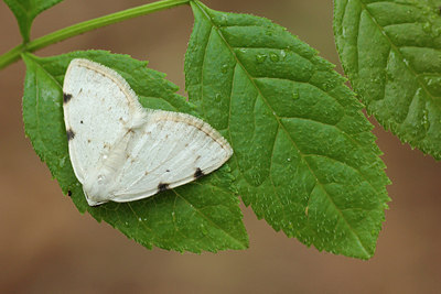 BUITEN BEELD Foto: 168172