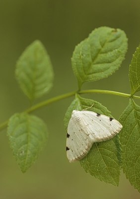 BUITEN BEELD Foto: 168173