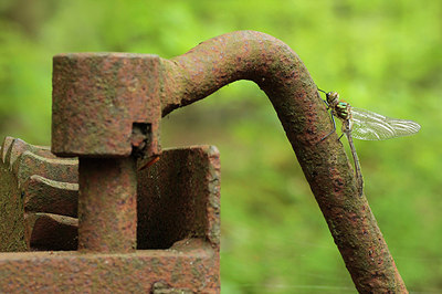 BUITEN BEELD Foto: 168177