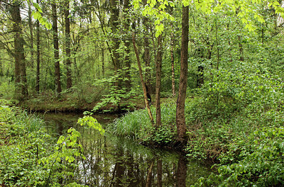 BUITEN BEELD Foto: 168194