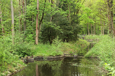 BUITEN BEELD Foto: 168195