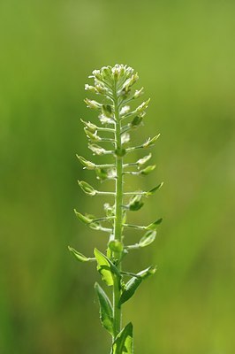 BUITEN BEELD Foto: 168200