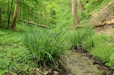 BUITEN BEELD Foto: 168205