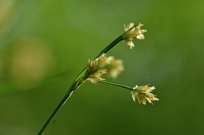 BUITEN BEELD Foto: 168210