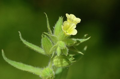 BUITEN BEELD Foto: 168227