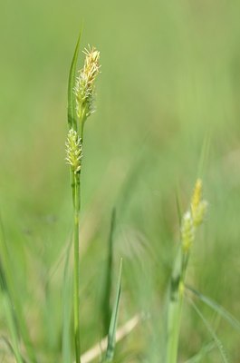 BUITEN BEELD Foto: 168304