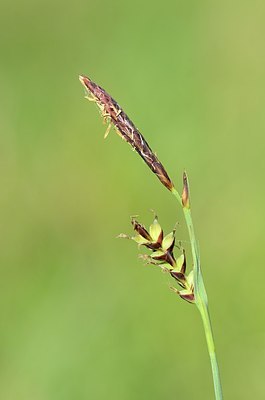 BUITEN BEELD Foto: 168306