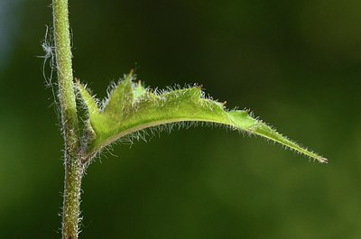 BUITEN BEELD Foto: 168316