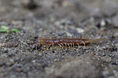 BUITEN BEELD Foto: 168335