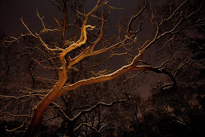 BUITEN BEELD Foto: 168438