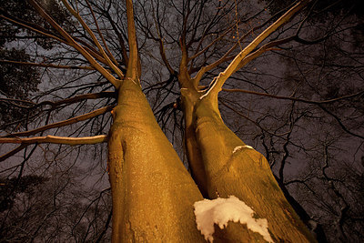 BUITEN BEELD Foto: 168439
