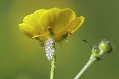 BUITEN BEELD Foto: 168488